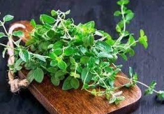 HERBS THAT HELPS TO FIGHT HIV VIRUS AND BOOST IMMUNITY
